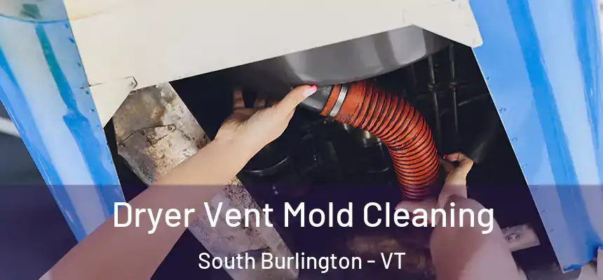  Dryer Vent Mold Cleaning South Burlington - VT