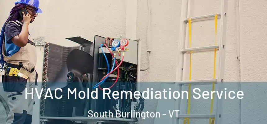  HVAC Mold Remediation Service South Burlington - VT
