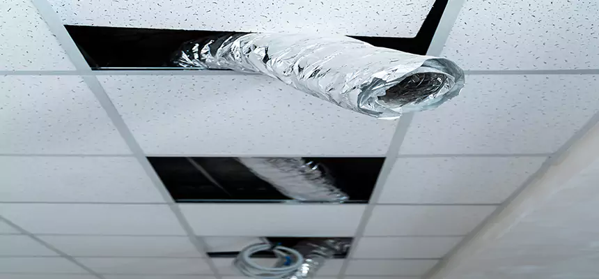 Affordable HVAC Sanitizing After Pest Removal in South Burlington