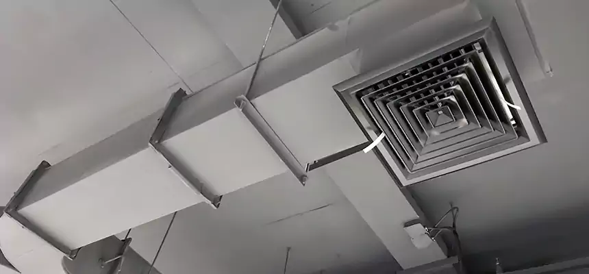 Restorative Allergy Relief Vent Cleaning – Coil, Blower & Housing Detail in South Burlington