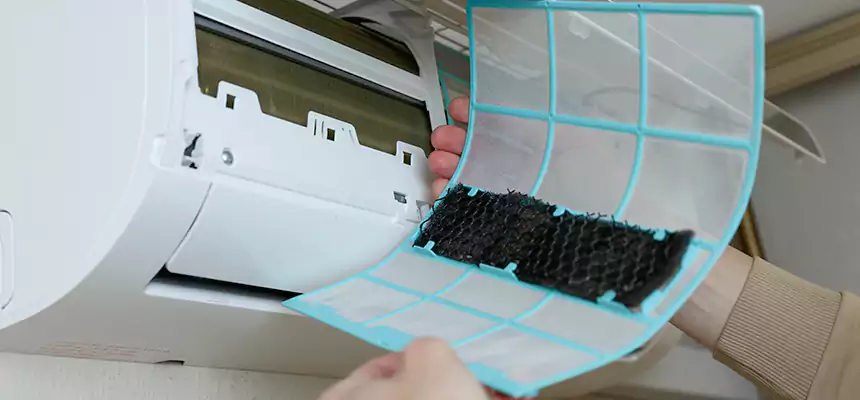 Gentle Ductwork Odor-Control Pet Dander Duct Cleaning in South Burlington, VT