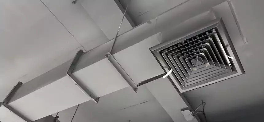 Our Rodent Droppings In Vents Services in South Burlington, VT