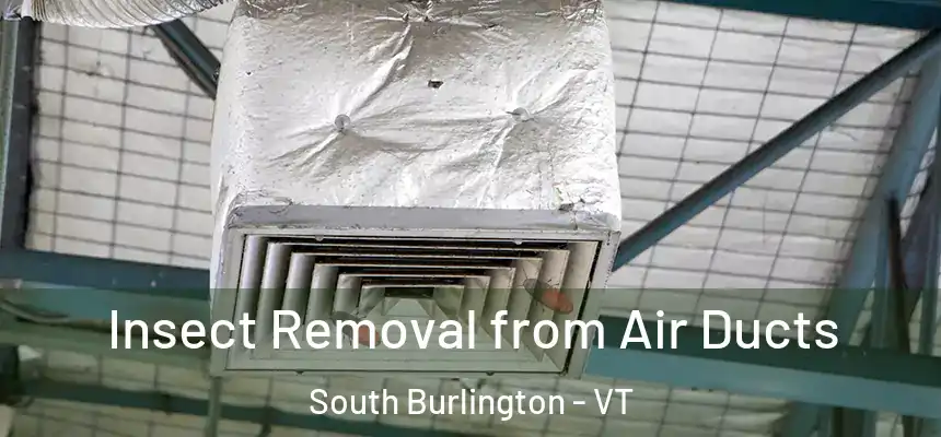  Insect Removal from Air Ducts South Burlington - VT