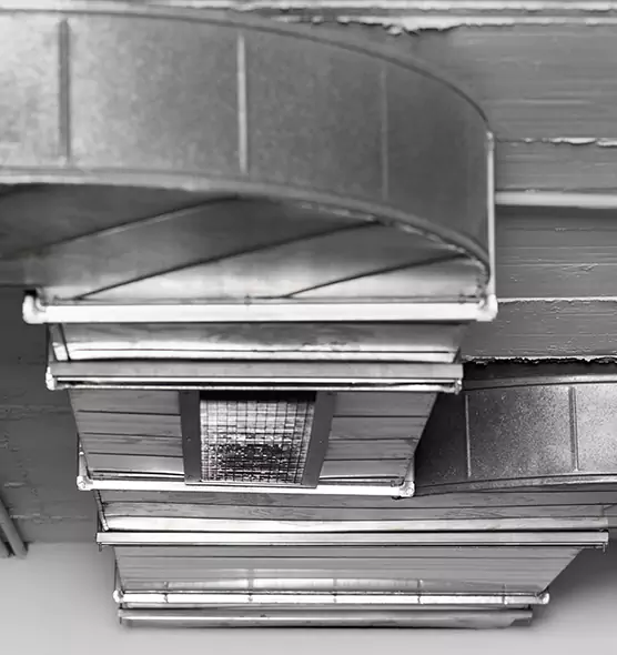 Professional Air Duct Pest Removal in South Burlington, VT