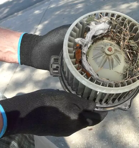 About Air Duct Rat Removal in South Burlington, VT