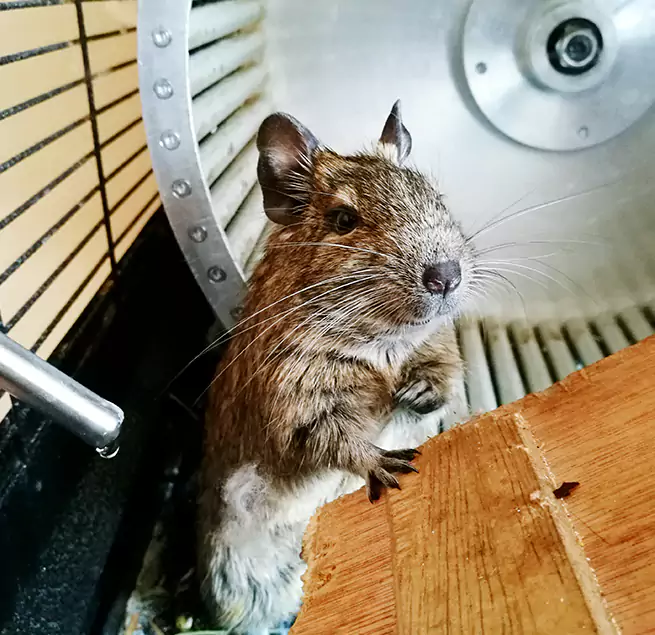 Why Homeowners & Businesses Trust Us South Burlington, VT