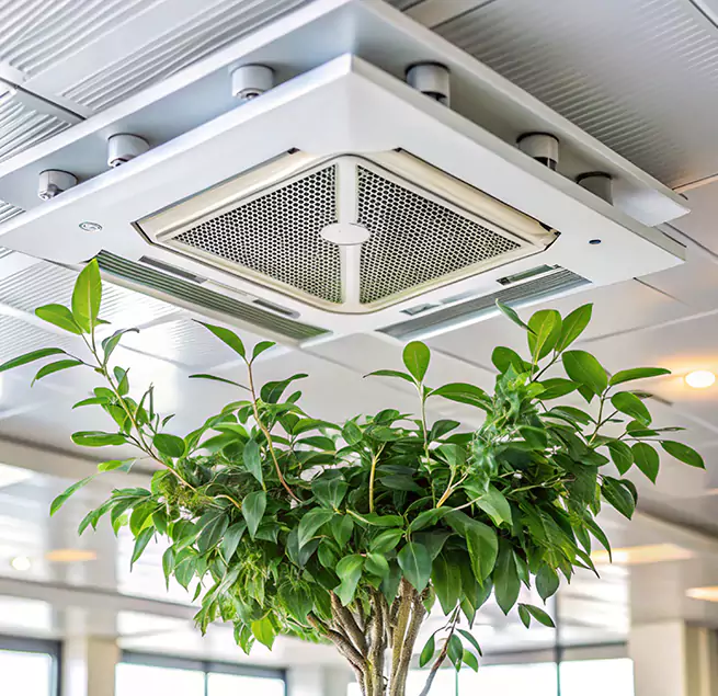 Why Homeowners & Businesses Trust Us in South Burlington, VT